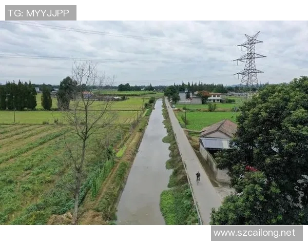 庆州市原与江陵的精彩对决揭示了两地文化与历史的深厚渊源与现代发展潜力